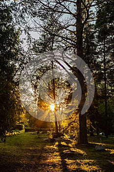 Metal crosses and graves in graveyard at sunset