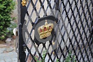 Metal curly fence in the park