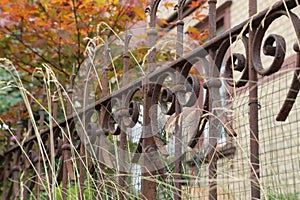 Metal curly fence in the park