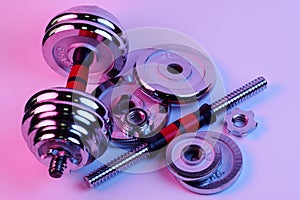 Metal demountable dumbbells with black plates and red handles