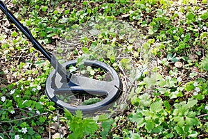 Metal detector