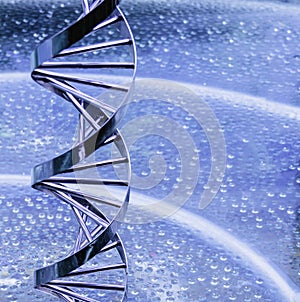 Metal DNA strands model
