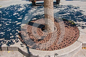 Metal drainage grate on the sidewalk around a tree in Slovakia