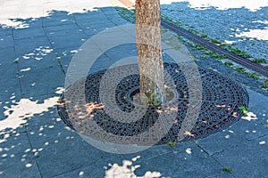 Metal drainage grate on the sidewalk around a tree in Slovakia