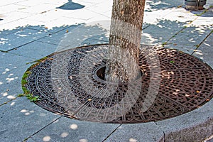 Metal drainage grate on the sidewalk around a tree in Slovakia