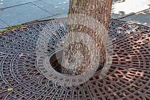 Metal drainage grate on the sidewalk around a tree in Slovakia