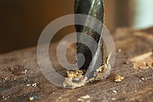 Metal drill bit make holes in wooden oaks plank