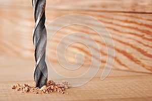 Metal drill bit make holes in the wooden oaks plank