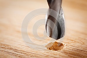 Metal drill bit make holes in wooden oaks plank