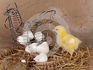 Metal easter basket and chick