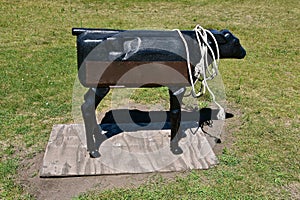 Mechanical beef cow for cowhands to practicing using a lariat photo