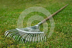 Metal fan rake on the green grass in the garden