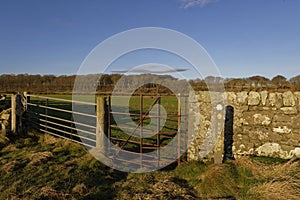 A metal Farm Field gate next to an old rusty Kissing gate set into the Drystone wall