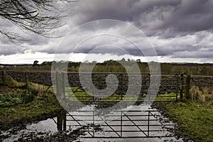 Metal farm gate leading to muddy ploughed field with gate reflected in large puddle