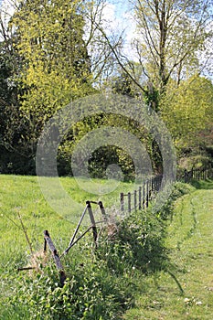 Metal fence