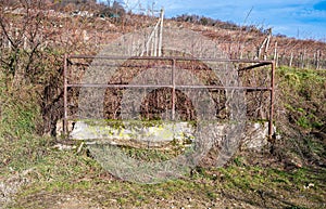 A metal fence on a concrete base overgrown with bushes. Above that is a hillside with vineyards. Autumn. Blue sky with white