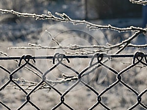 Metal fence covered with frost.