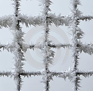 Metal fence covered with frost