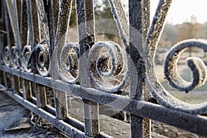 Metal fence covered with frost