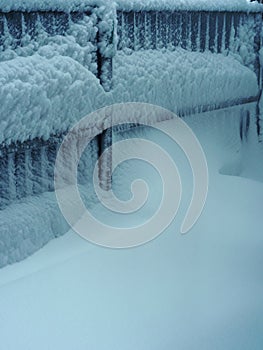 Metal fence covered with snow and with adhering snow of a blue hue