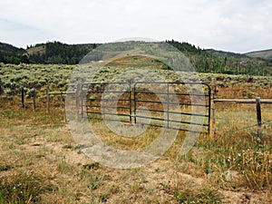 Metal fence gate near a prairie