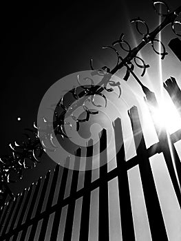 A metal fence keeping trespassers out with a warning sign stating danger of death