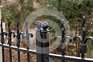 Metal fence. Metal curly fence in the park