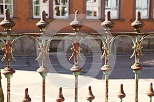 Metal fence. Metal curly fence in the park