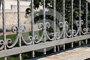 Metal fence. Metal curly fence in the park