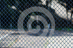 Metal fence. Shod lattice. Curly latte.