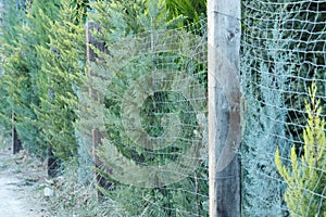 Metal fence with wood and trees at the edge of the road separating private property