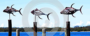 Metal fish sculptures photo