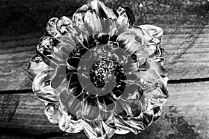 Metal flower. floristics business. Vintage. luxury and success. metallized antique decor. wealth and richness. grunge photo