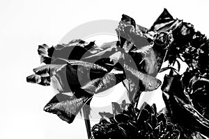 Metal flower. Forging and sculpture. Beautiful black silver flower. Metallic steel color. Floral shop. Flower covered