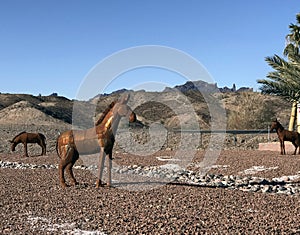 Metal folk art of area animals, Parker, Arizona