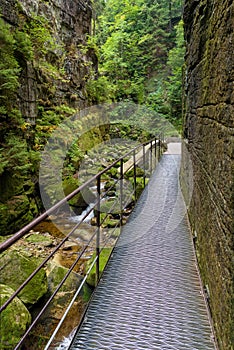 Metal footbridge in the gorge of Kamienczyk river in Poland