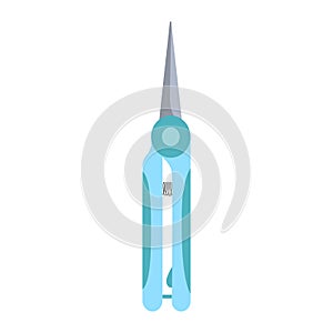 Metal garden orchid scissors sisolated on white background. Garden clipper. Blue scissors for trimming in flat design photo