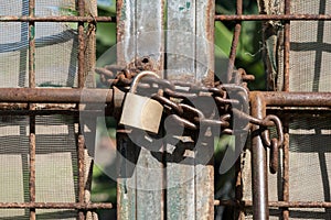 Metal gate locked with chain and padlock
