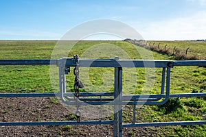 Metal gate to the vast grassland