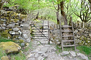 A metal gate and wooden stile through a stone wall, lead into forest