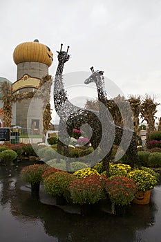 Metal Giraffe Statues Great Guests at Rainy Rural Pumpkin Patch