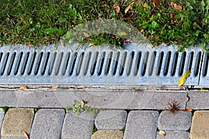 Metal grate of rainwater drainage system in a park photo