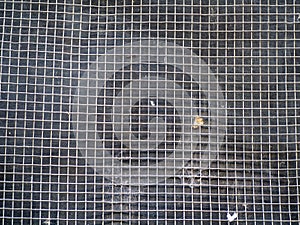 Metal grid abstract pattern and texture, rusty.