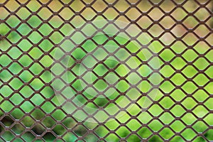 Metal grille fence and defocused nature backgroun
