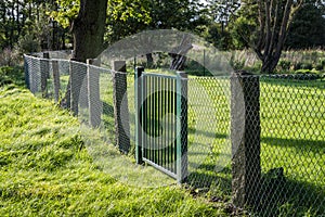 Metal grille fence with green gate in green surroundings