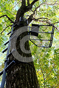 Metal Hang-on Hunting Treestand and Climbing Sticks