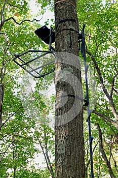 Metal Hang-on Hunting Treestand and Climbing Sticks