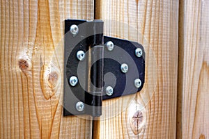 Metal hinge on wood