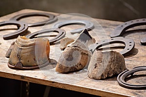 Metal horseshoes and animal hooves put on a wooden table