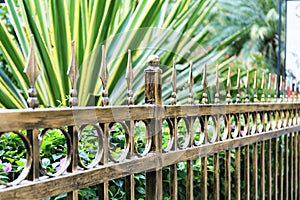 Metal iron fence